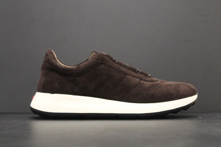TOD'S  RED DOT SNEAKER PASHMY SUEDE BROWN