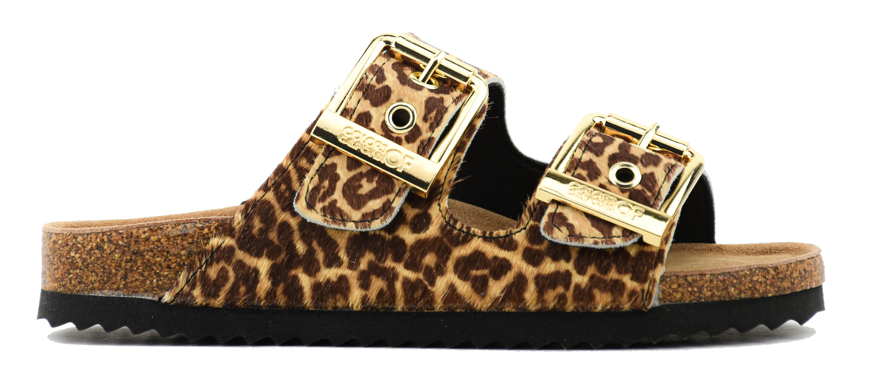 COLORS OF CALIFORNIA TWO BUCKLE LEOPARD